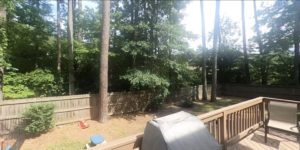 A 360° tour of a backyard in North Carolina