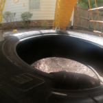 Tire Swing in the Backyard
