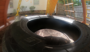 Tire Swing in the Backyard