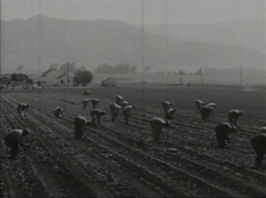 Repurposed footage from Why Braceros?