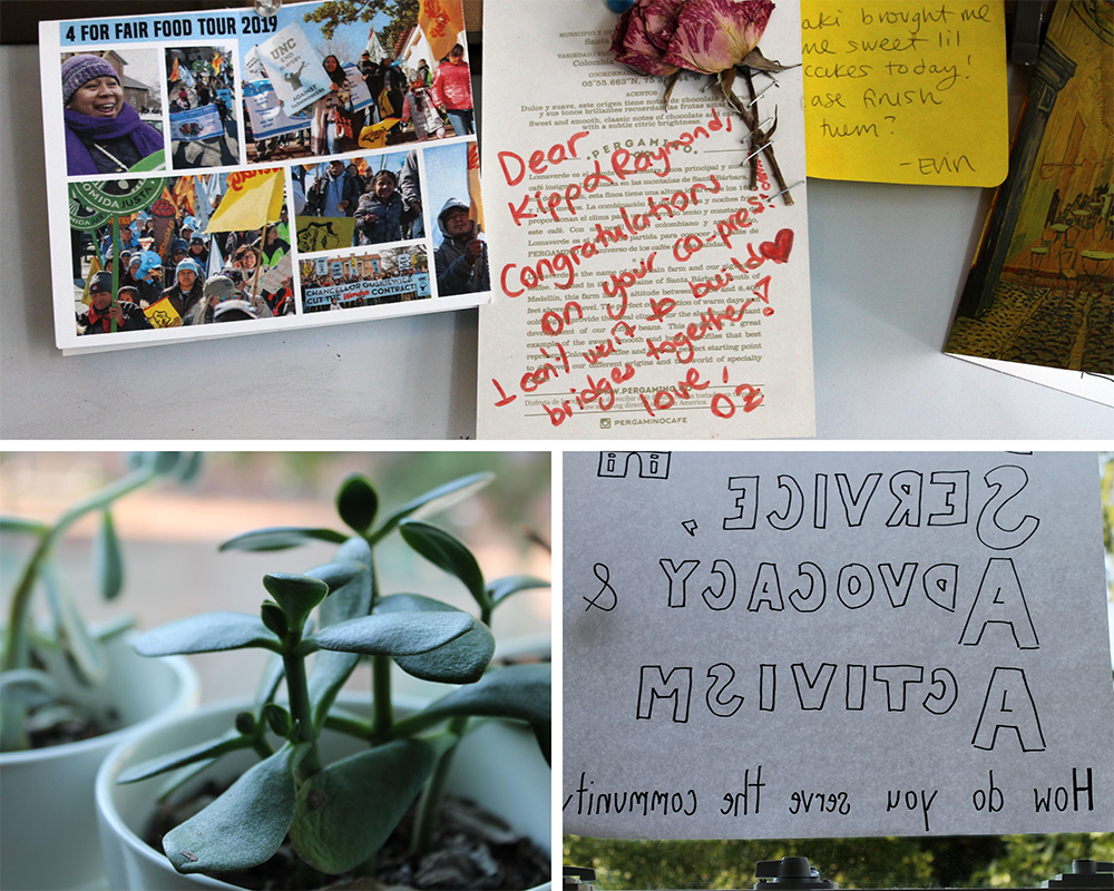 Snapshots from inside the co-president's office: A succulent plant, poster that reads "How do you serve the community?" and a letter from a friend.