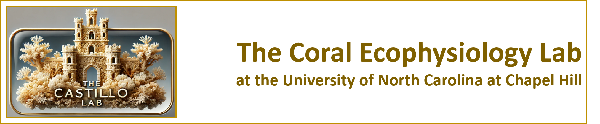 The Castillo Coral Ecophysiology Lab at The University of North Carolina at Chapel Hill