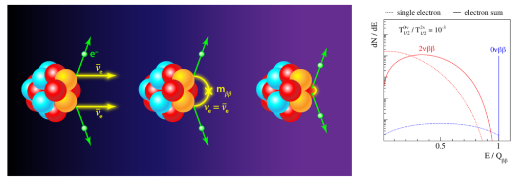 The pictures illustrating the double-beta decay. There are three neutrinos, presenting the status change after hit by double-beta. 