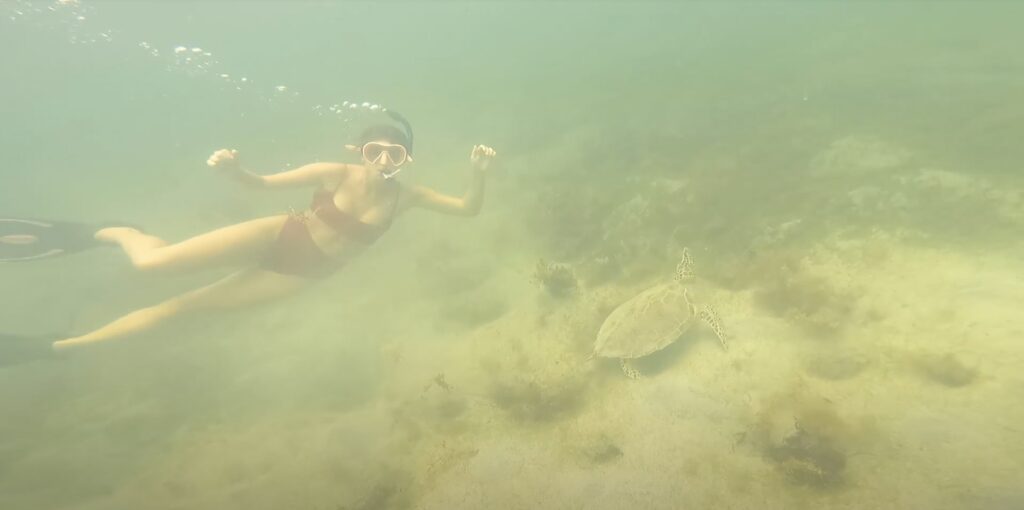 Like I said, snorkeling with sea turtles is a tough experience to beat!