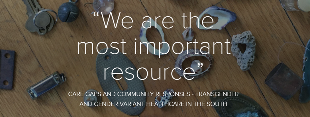 “We are the most important resource” CARE GAPS AND COMMUNITY RESPONSES - TRANSGENDER AND GENDER VARIANT HEALTHCARE IN THE SOUTH