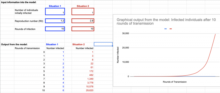 Viral_spread_model-